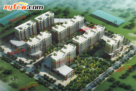 不怕便宜的看过来！金栗园97平套三送附房好楼层划科信